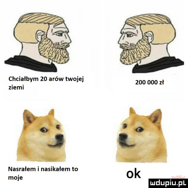 chciałbym    arów twojej ziemi  . j v nasralem i nasikalem to moje ludu iu. l