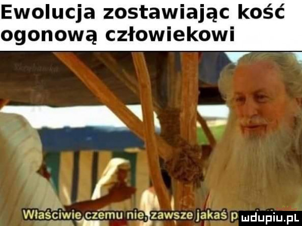 ewolucja zostawiając kość ogonową człowiekowi t l. nlaséiwic cz cdu ningma   m ja zug p luciupiupl