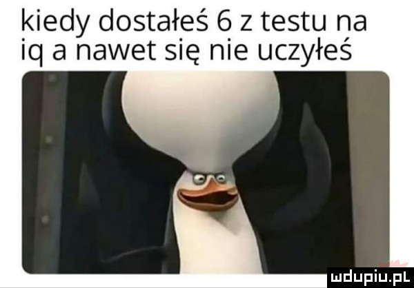 kiedy dostałeś   z testu na iq a nawet się nie uczyłeś