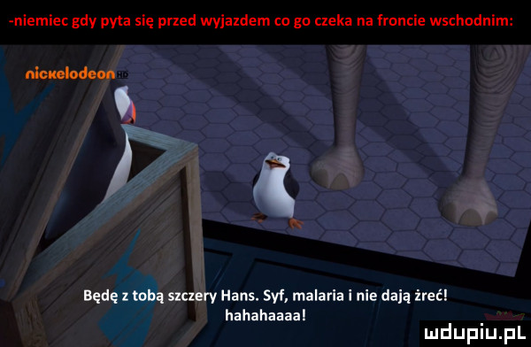 niemiec gdy pyta się przed wviaxdem co gn czeka na mnie wschodnim nlcuelodeon w będę x tobą szczery hans. sof malaria i nie dają ireć hahahaaaal