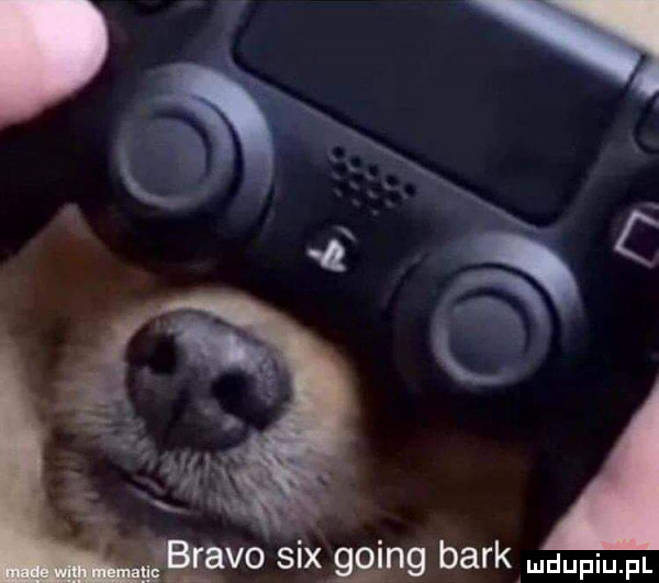abo sax mag bark mdupium