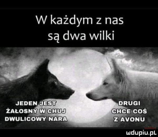 w każdym z nas są dwa wilki dwulicowv nar