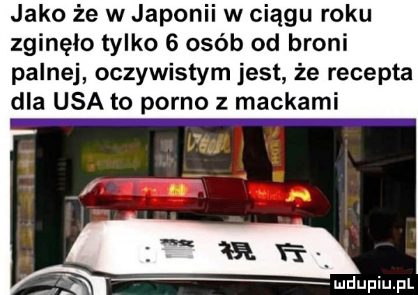 jako że w japonii w ciągu roku zginęło tylko   osób od broni palnej oczywistym jest że recepta dla usa to porno z mackami jia