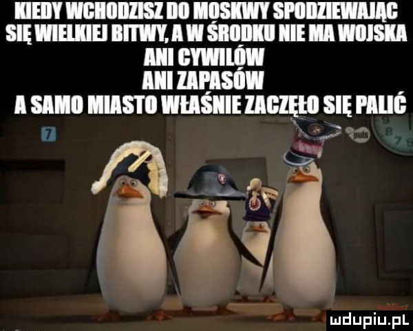 iieiiy mucu ibl    mmm się wieiiiei bitwy. l l śiiiiiiii ice has uu cwnuiw mums sm nam wuslui magm się mul