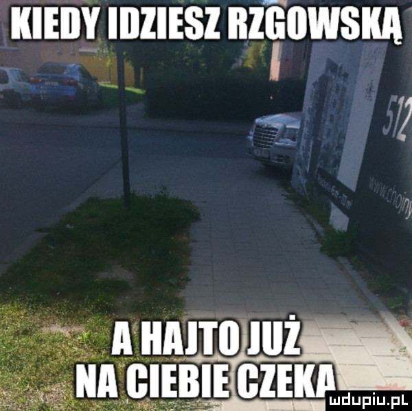 kieiihiiiiesz bliki lewska