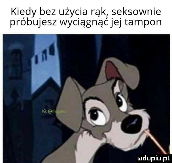 kiedy bez użycia rąk seksownie próbujesz wyciągnąćjej tampon