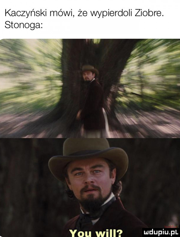 kaczyński mówi że wypierdoli ziobre. stonoga. y-u will l e fi j fl