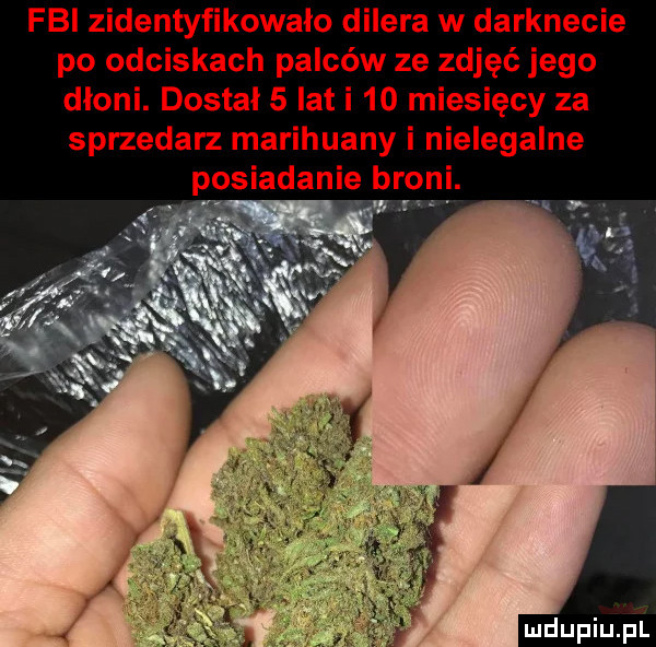 fbi zidentyfikowało dilera w darknecie po odciskach palców ze zdjęć jego dłoni. dostał   lat i    miesięcy za sprzedasz marihuany i illegalne