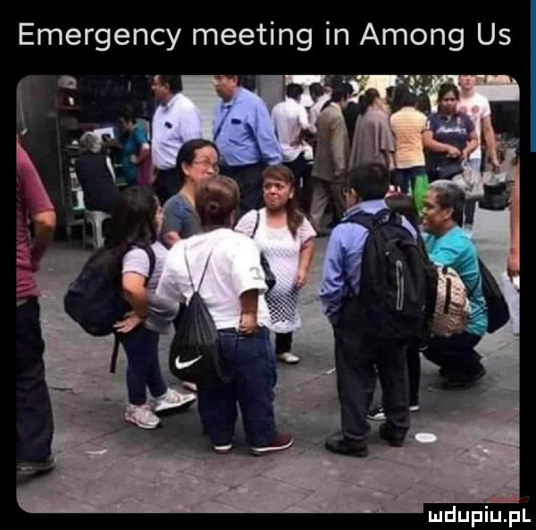 emergency meeting in among us ludupu l