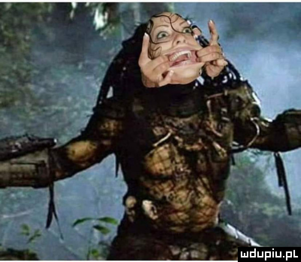 Predator kontratakuje