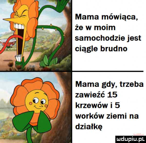 mama mówiąca że w moim samochodzie jest ciągle brudno mama gdy trzeba zawieźć    krzewów i   worków ziemi na działkę ludu iu. l