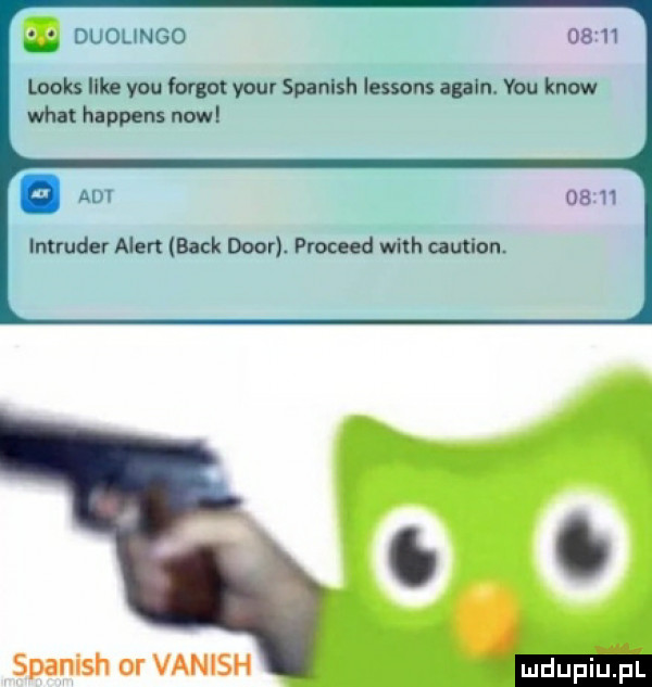 duoungo       looks icka y-u furgot your spanlsh lessons alain. y-u know wiat happens now a intruder alen beck dior. proceed with caution. spanish or vanish