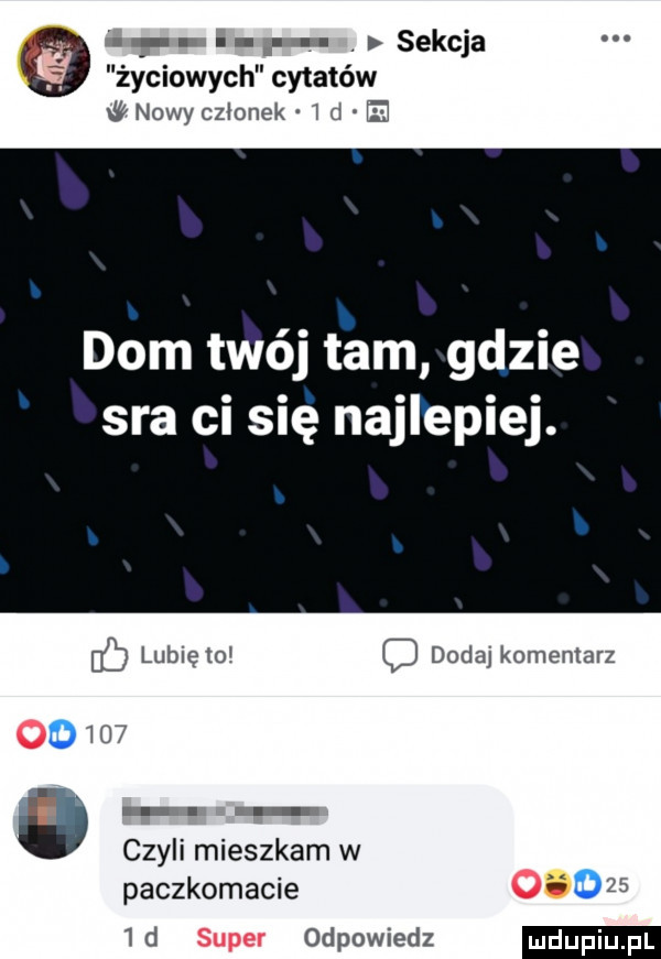 sekcja życiowych cytatów nowy czlonek   d dom twój tam gdzie sra ci się najlepiej. ib lubleto o dodaj komentarz      o czyli mieszkam w paczkomacie         d odpowiedz