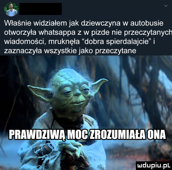 l. v właśnie widziałem jak dziewczyna w autobusie otworzyła whatsappa z w pizde nie przeczytanych wiadomości mruknęła dobra spierdalajcie i zaznaczyła wszystkie jako przeczytane v. j prawdziwa ming lllllillmiań ilia