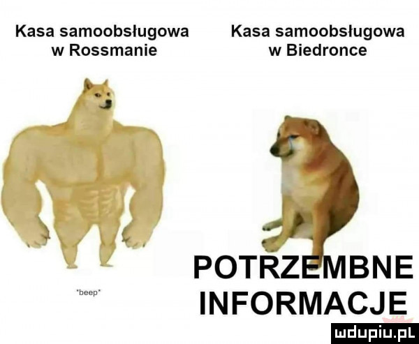 kasa samoobsługowa kasa samoobsługowa w rossmanie w biedronce h. j r   co gr patrz bae informacje