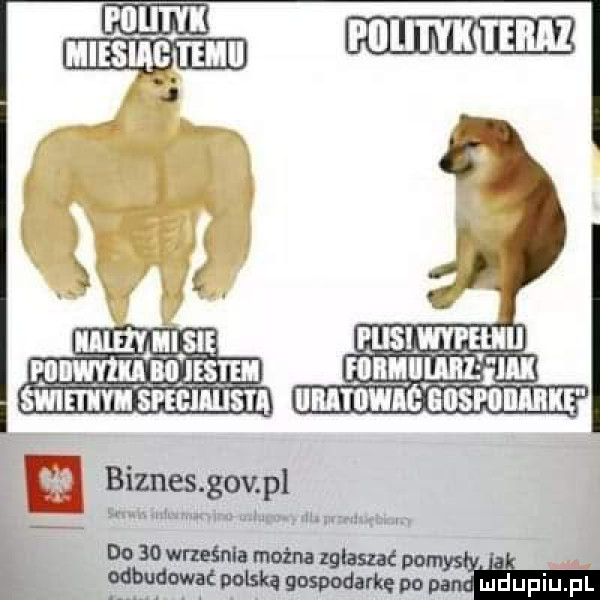 do    września main zgłaszać pom. abakankami. odbudować miską gospodarkę po my