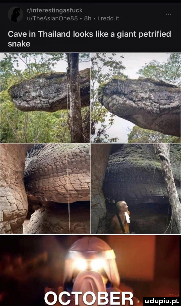 wnterestingasfuck iwiﬂeasiai orebs  h i reed it cave in thailand looks like a géant petrified snake oc er mmm