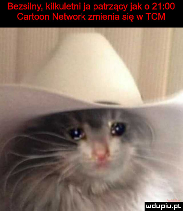 bezsilny kilkuletni ja patrzący jak o       cartoon network zmienia się w tam ludu iu. l