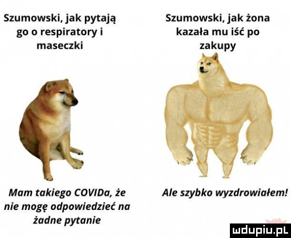 szumowskl. jak pytają sxumowskl jak żona go o respiratoryi kazała mu iść po maseczkl zakupy mam takiego covida. że ale szybko wyzdrowialem nie mag odpowiedzieć na żadne pytanie