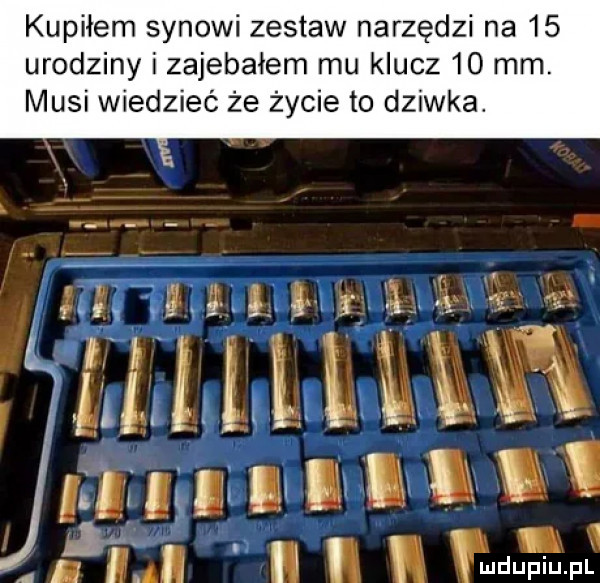 kupiłem synowi zestaw narzędzi na    urodziny i zajebałem mu klucz    mm. musi wiedzieć że życie to dziwka. leaves    hm l unix        m il  t. m v. wą