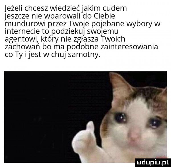 jeżeli chcesz wiedziećjakim cudem jeszcze nie wparowali do ciebie mundurowi przez twoje pojebane wybory w internecie to podziękuj swojemu agentowi który me   łasza twoich zachowań bo ma po orne zainteresowania co ty ijest w chuj samotny. ludu iu. l