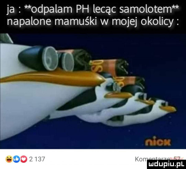 ja odpalam ph lecąc samolotem napalone mamuśki w mojej okolicy ludupiupl