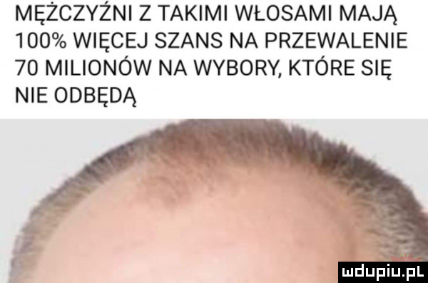 mężczyźni z takimi włosami mają     więcej szans na przewalenie    milionów na wybory które się nie odbędą mdupiup i