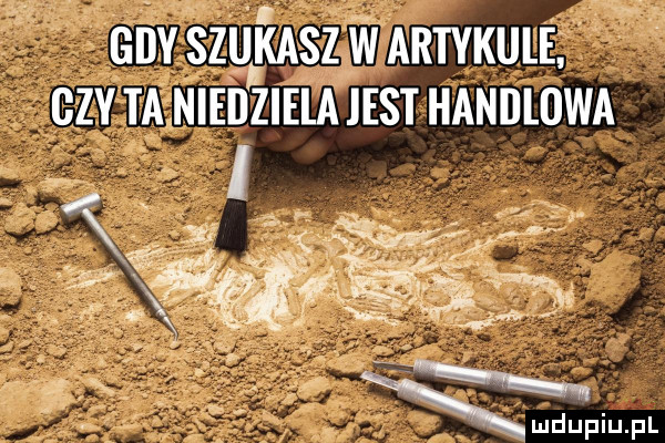 va szukasz w artykule i ctv ta nieilziela jest handlowa
