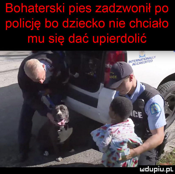 bohaterski pies zadzwonił po policję bo dziecko nie chciało mu się dać upierdolić