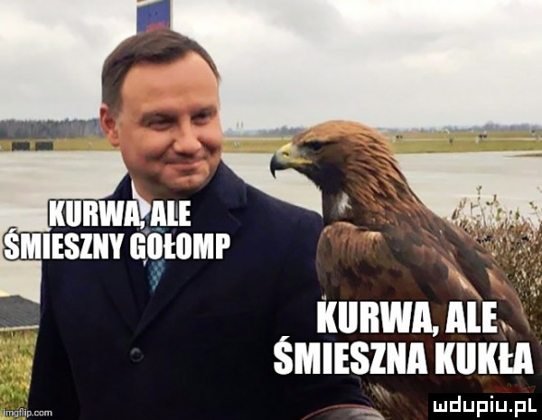 x. miesziiy ęlllllmp lwami ili śmsm kum mmm