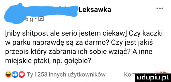 maksawka g. niby shitpost ale serio jestem ciekaw czy kaczki w parku naprawdę są za darmo czyjestjakiś przepis który zabrania ich sobie wziąć a inne miejskie ptaki np. gołębie oo ty i     innych użytkowników karim