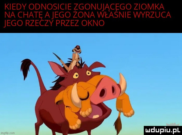 kiedy odnosicie zgonującego ziomka na chatę alego zona władnie wyrzuca jego rzeczy przez okno km m