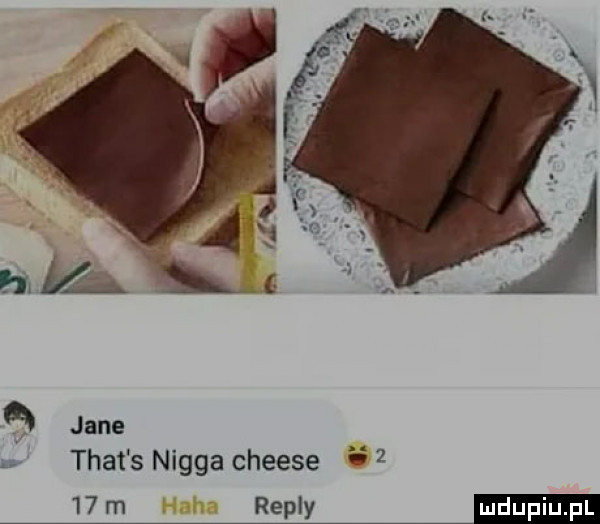 trat s nigga cheese      rn repry eda