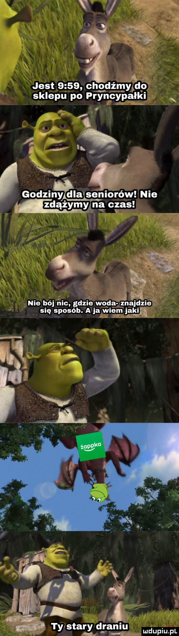 jest      chodźmy do sklepu po pryncypałki. godzinyźdlajseniorów nie zdążymyf na czas nie    nic gdzie woda znajdzia się sposób. a ja wiem jaga ty staadlfaniu mnpm pl