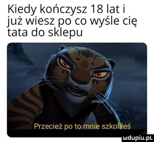 kiedy kończysz    lat i już wiesz po co wyśle cię tata do sklepu