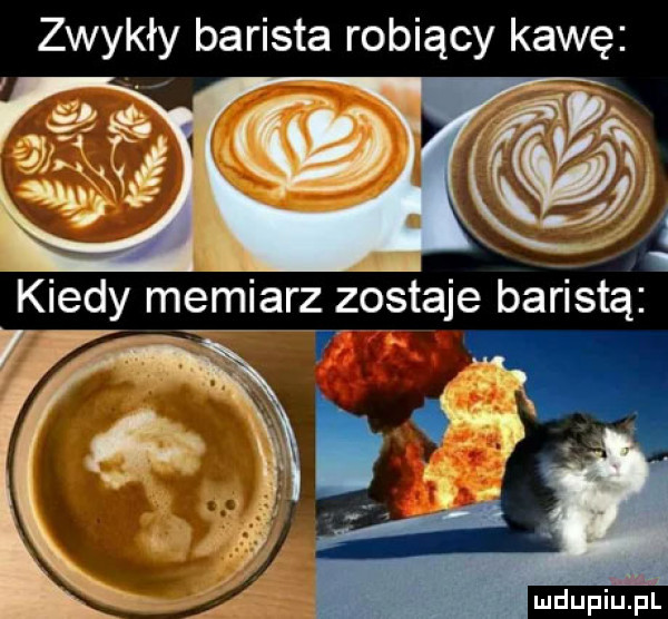 zwykły barista robiący kawę ludu iu. l