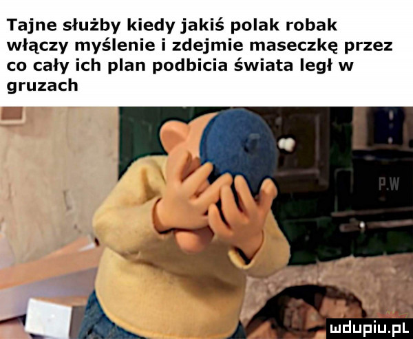 tajne służby kiedy jakiś polak robak włączy myślenie i zdejmie maseczkę przez co caly ich plan podbicia świata legł w gruzach