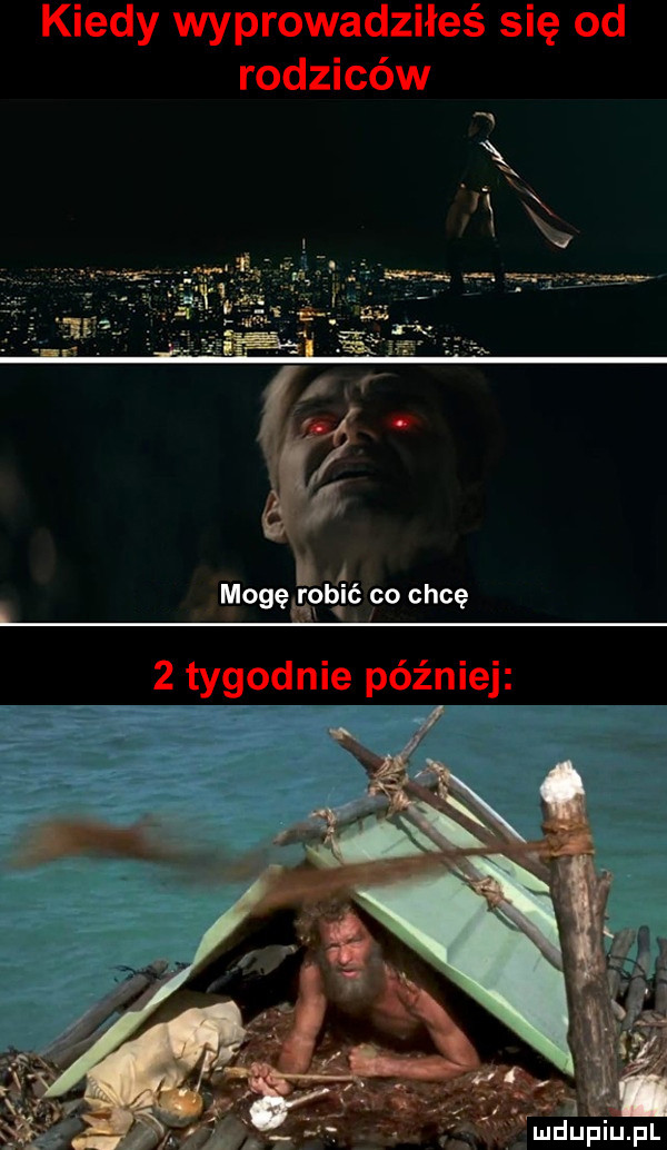 kiedy wyprowadziłeś się od rodziców mogęgqb lać co chcę   tygodnie później