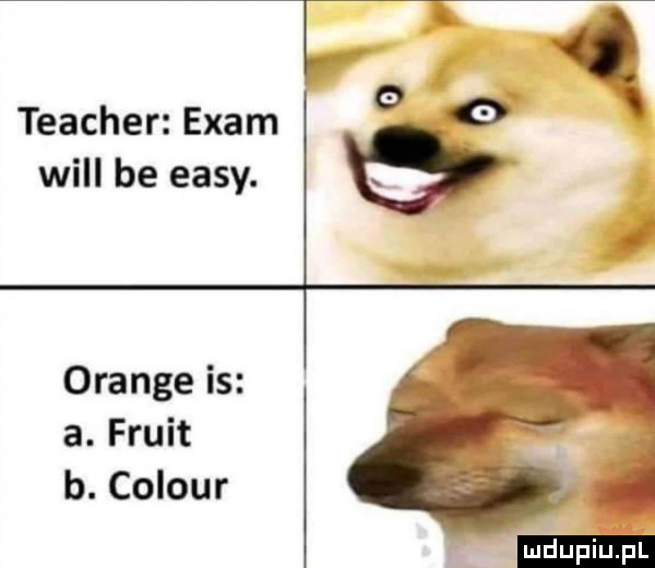 teacher edam will be eksy. orange is a. frukt b. colour mdupiuﬁi