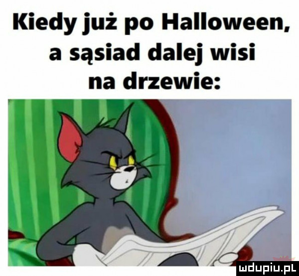 kiedy już po halloween. a sąsiad dalej wisi na drzewie