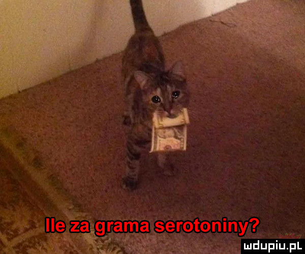 mhupiu pl