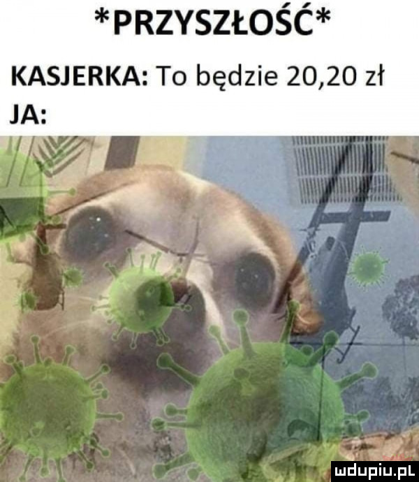 przyszłość kasjerka to będzie       zł ja k ma x meiupiupl