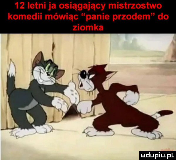 letni ja osiągający mistrzostwo komedii mówiąc panie przodem do ziomka ludu iu. l