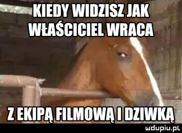 i kiedy wiiiiisi lak wlaśgigiel wkasa l ekipa iiiiiiiiwatiiiiwiia mduiuppl