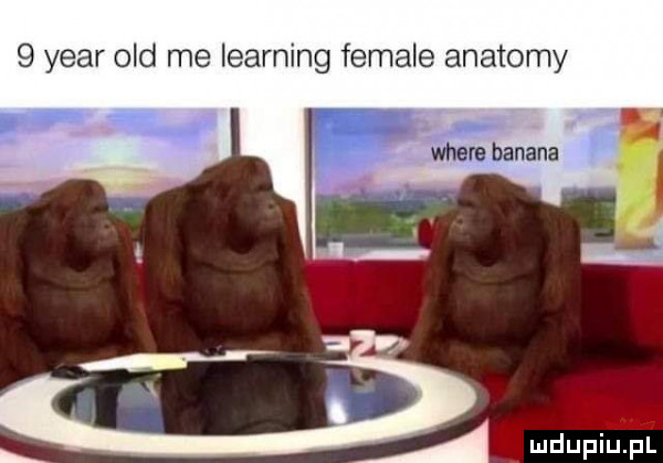 year ocd me learning female anatomy eu