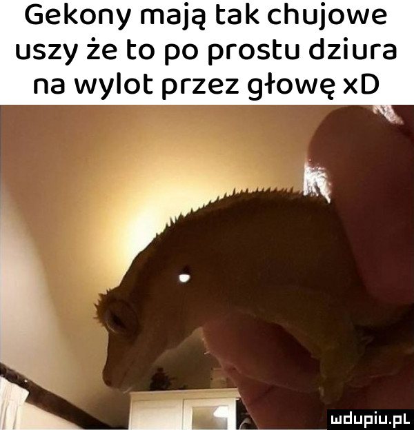 Wleciało jednym, drugim wyleciało