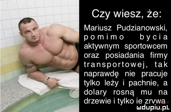 czy wiesz że mariusz pudzianowski p   m i m   b y c i a aktywnym sportowcem oraz posiadania firmy transportowej tak naprawdę nie pracuje tylko leży i pachnie a dolary rosną mu na drzewie l tylko ie zrywa ludupiu. pl