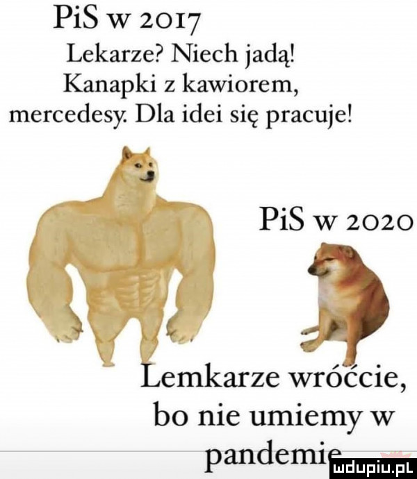 pis w      lekarze niech jadą kanapki z kawiorem mercedesy. dla idei się pracuje pis w      emkarze wróbcie bo nie umiemy w pandemieemmż l