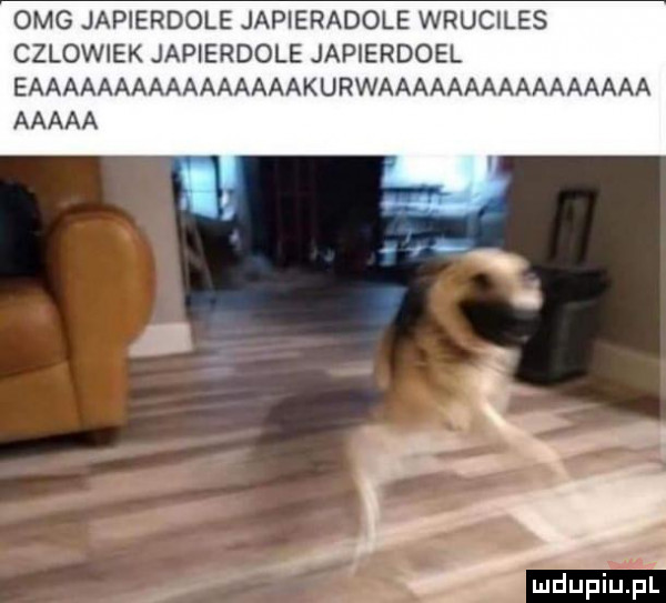 omg japierdole japieradole wruciles czlowiek japierdole japierdoel eaaaaaaaaaaaaaaaakurwaaaaaaaaaaaaaaaa aaaaa