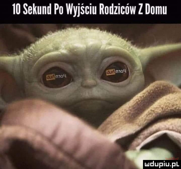 ibl sekund pu wyjściu rodziców z domu